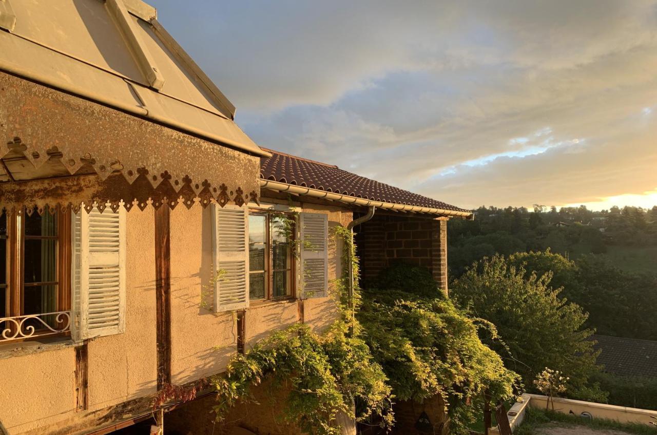 Апартаменти La Ferme Du Puy D'Or Лімоне Екстер'єр фото